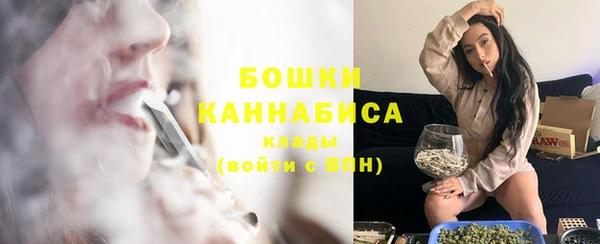 индика Навашино
