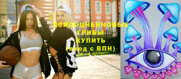 индика Навашино