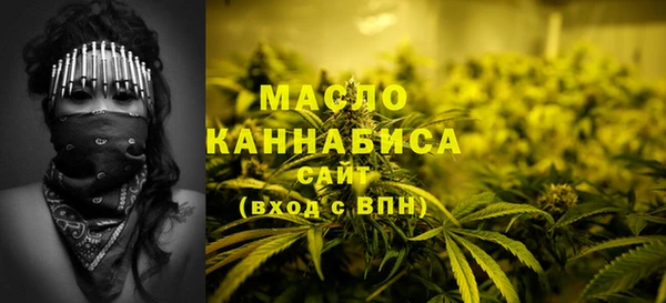 индика Навашино